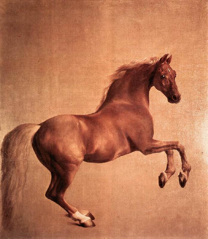 STUBBS, George Whistlejacket r